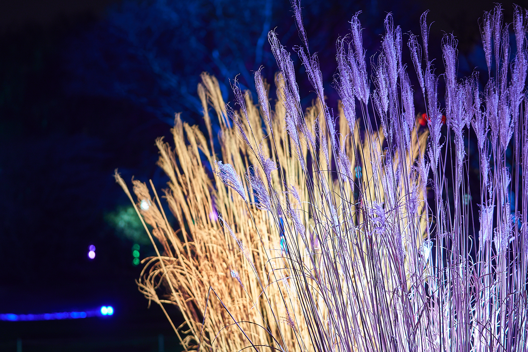 2018 03 06 Parkleuchten 0019